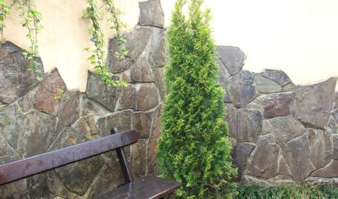 Гостевой дом На Попова, 1, г. Сочи, с/х Россия