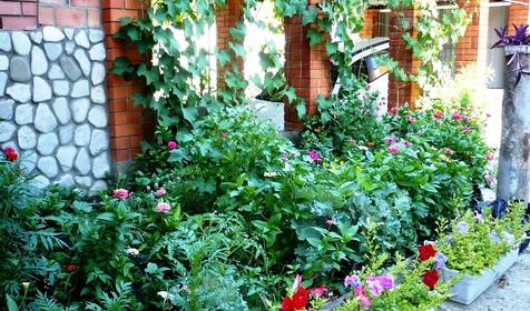 Усадьба Александр, Туапсинский район, пос. Шепси