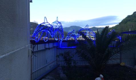 Гостевой дом Звезда Кавказа, г. Сочи, п. Лоо