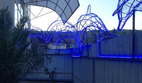 Гостевой дом Звезда Кавказа, г. Сочи, п. Лоо