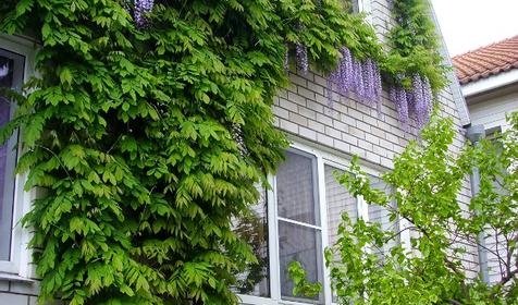 Гостевой дом Анастасия, г. Геленджик