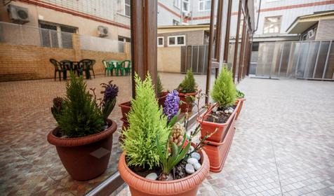 Гостиница Анита, г. Сочи, Адлерский район