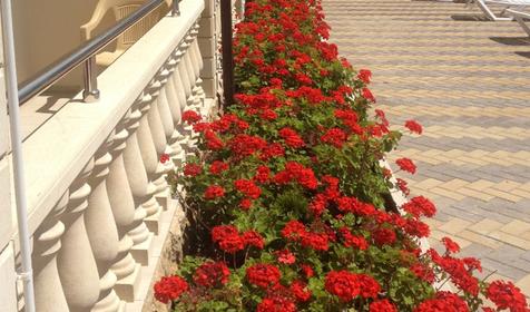 Частный дом Наутилус, Туапсинский район, п. Новомихайловский