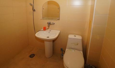 Эконом бюджетный. Гостевой дом Дельфин, г. Сочи, Адлер