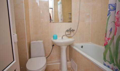 Комфорт 2-местный, гостевой дом Паллада, Ольгинка