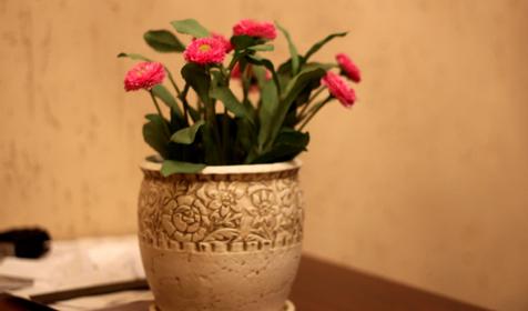 Апартаменты с отдельной кухней. Гостевой дом ТриАрт, г. Сочи, Адлерский район