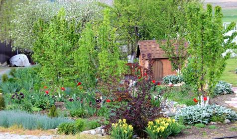 Дом у реки Раздолье, г. Тимашевск, ст. Новокорсунская