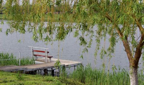 Дом у реки Раздолье, г. Тимашевск, ст. Новокорсунская