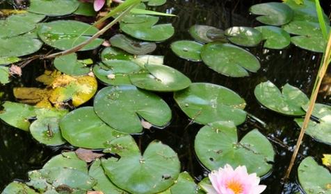 База отдыха Горизонт, г. Новороссийск, Широкая балка