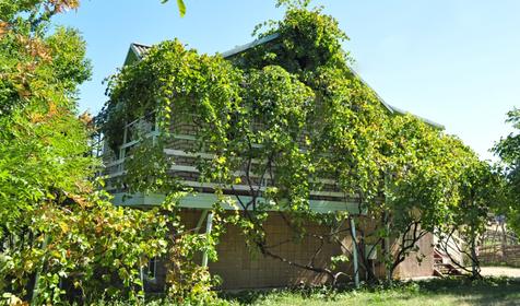 База отдыха Горизонт, г. Новороссийск, Широкая балка