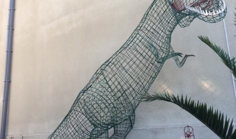 Гостевой дом Звезда Кавказа, г. Сочи, п. Лоо