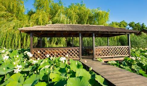 Загородный клуб Усадьба Фамилия, ст. Пластуновская