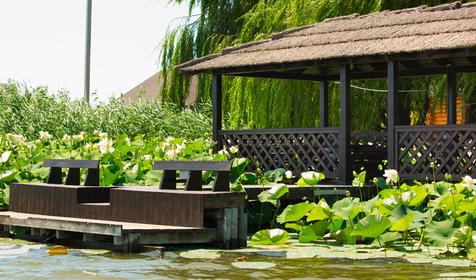 Загородный клуб Усадьба Фамилия, ст. Пластуновская