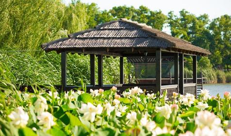 Загородный клуб Усадьба Фамилия, ст. Пластуновская