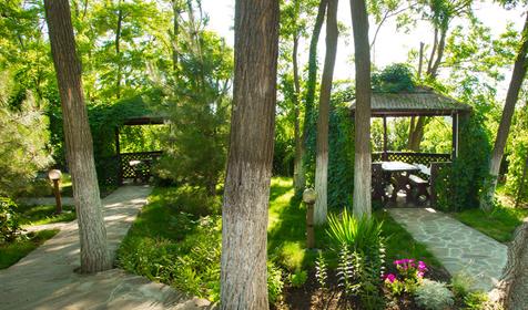 Корпоративы и тимбилдинг. Загородный клуб Усадьба Фамилия, ст. Пластуновская