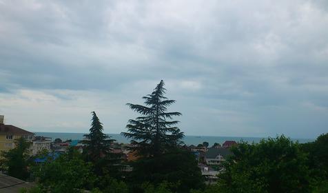 Вид из окна номера. Гостевой дом Горный простор, г. Адлер