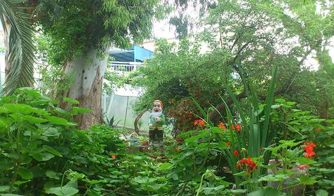 Территория. Гостевой дом Горный простор, г. Адлер