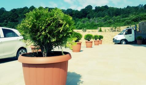 Гостевой дом АртАри, г. Сочи, Адлерский район, с. Высокое