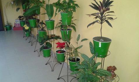 Гостевой дом АртАри, г. Сочи, Адлерский район, с. Высокое