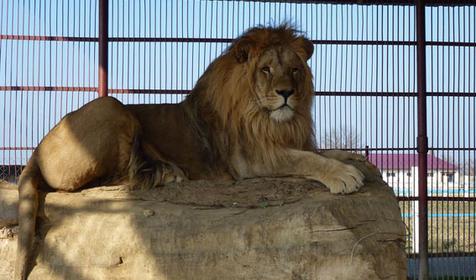 Санаторий Лаба, г. Лабинск