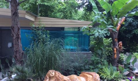 Гостевой дом Алеандр, г. Сочи, Лазаревский район, п. Лоо