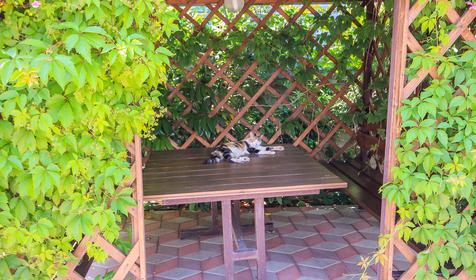 Гостевой дом Алена, Туапсинский район, п. Джубга