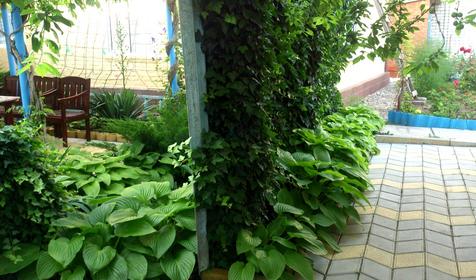 Гостевой дом Азовец.ру, пос. Кучугуры