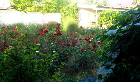 Гостевой дом Азовец.ру, пос. Кучугуры