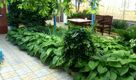 Гостевой дом Азовец.ру, пос. Кучугуры