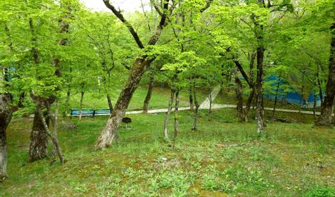 Автокемпинг Inal Bay База отдыха “На первом”, бухта Инал