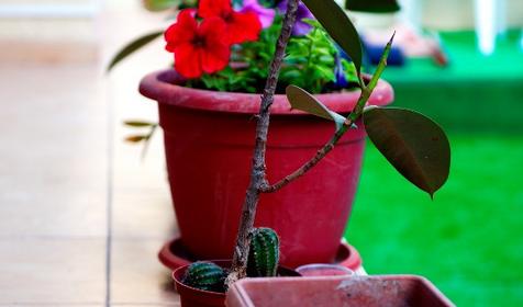 Гостевой дом Амиго, г. Геленджик