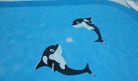 Бассейн. Пансионат Геленджик, г. Геленджик