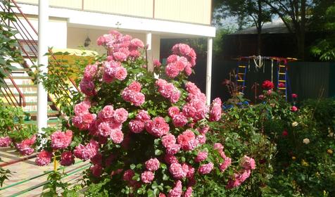 Гостевой дом Маргарита, ст. Голубицкая