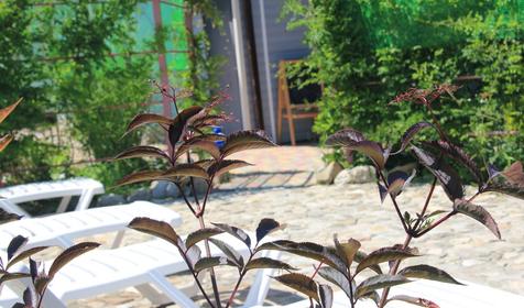 Relax Hotel (Релакс Отель)