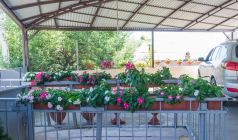 Гостевой дом Закат, г. Сочи, Адлерский р-н