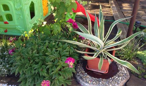 Гостевой дом Фем Ландия, г. Геленджик, с. Архипо-Осиповка