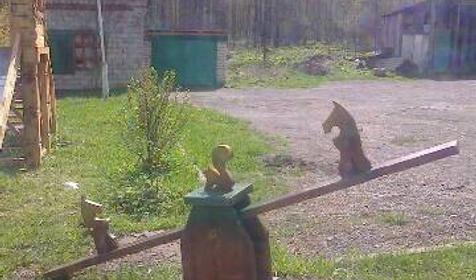 База отдыха Пихтовый бор, Апшеронский район, 15-й километр дороги Даховская-Лаго-Наки