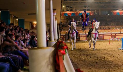 Гладиаторы Рима. Культурно-туристический комплекс Россия, г. Новороссийск, п. Абрау-Дюрсо