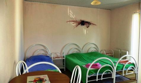 Трехместный эконом. Гостевой дом Эврика, г. Геленджик