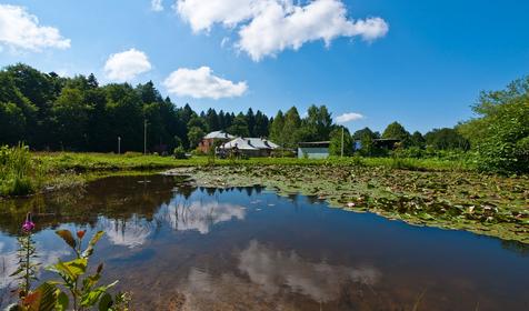 База отдыха Пихтовый бор, Апшеронский район, 15-й километр дороги Даховская-Лаго-Наки