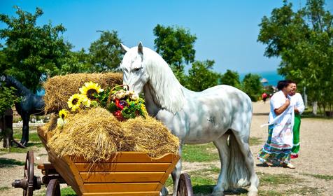 Этнографический комплекс Атамань, Темрюкский район, ст. Тамань