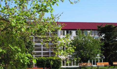 Морская звезда, Туапсинский район, п. Новомихайловский