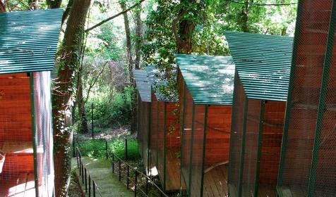 Морская звезда, Туапсинский район, п. Новомихайловский