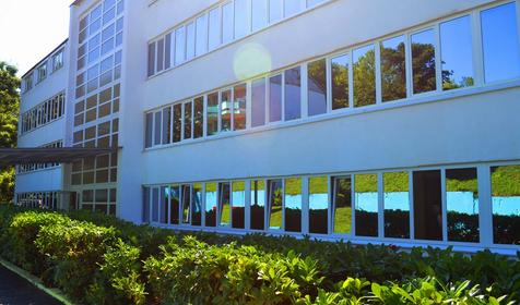 Морская звезда, Туапсинский район, п. Новомихайловский