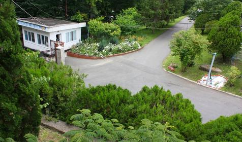 Морская звезда, Туапсинский район, п. Новомихайловский