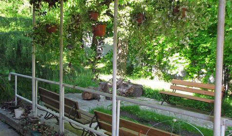 Морская звезда, Туапсинский район, п. Новомихайловский