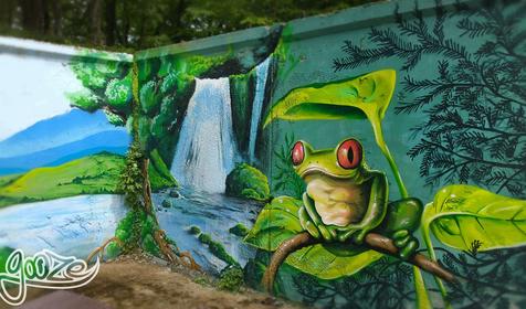 Морская звезда, Туапсинский район, п. Новомихайловский