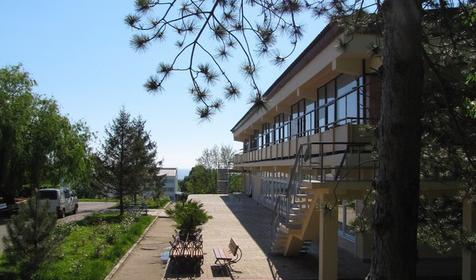 Морская звезда, Туапсинский район, п. Новомихайловский