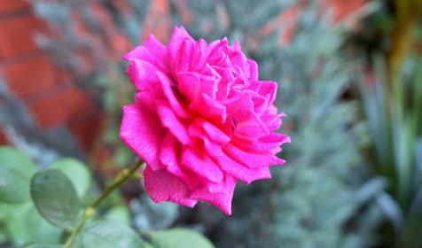 Гостевой дом Агат, п. Кабардинка, г. Геленджик