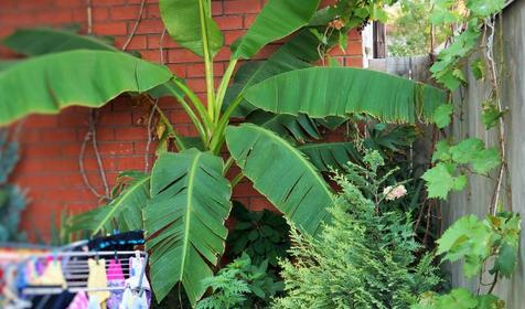 Гостевой дом Агат, п. Кабардинка, г. Геленджик